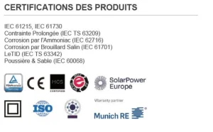panneau solaire dmegc solar